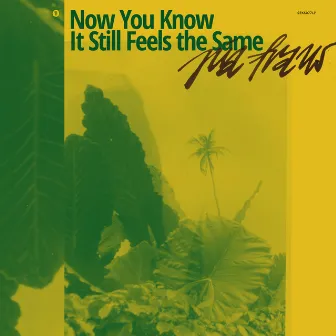 Now You Know It Still Feels the Same by Pia Fraus