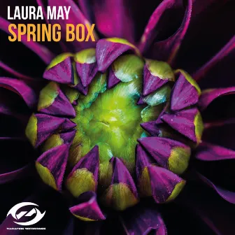 Spring Box by Laura May