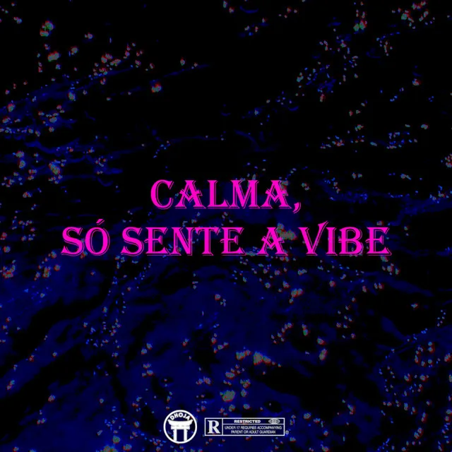 Calma, Só Sente a Vibe