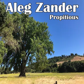 Propitious by Aleg Zander