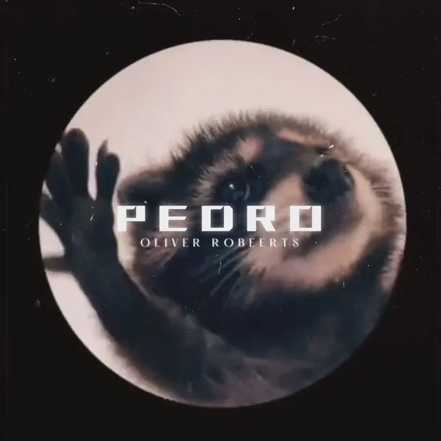 Pedro Pedro Pedro - Hardstyle Remix