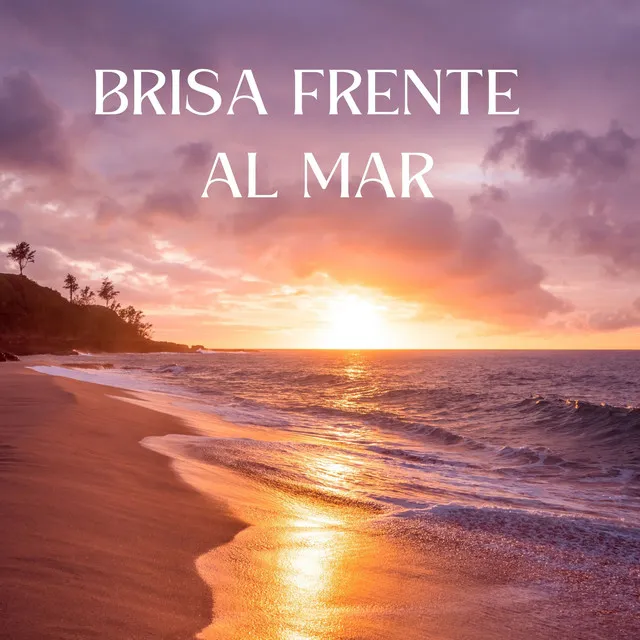 Brisa Frente Al Mar