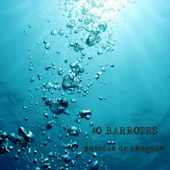 Hubo dos (sin tres) (with Laura Torres) by 40 Barrotes