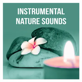 Instrumental Nature Sounds - Spa Selection of Chill Out and Lounge to Relax During the Cold Winter, Background Music for Sensual Massage by Massage Sanctuary