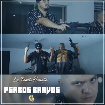 Perros Bravos by La Familia Hemafia