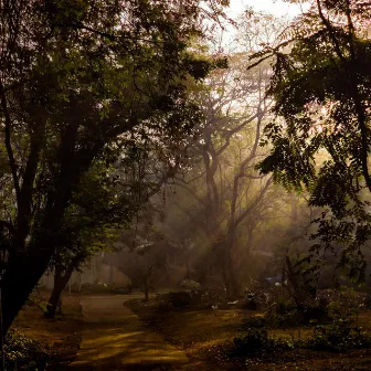 The Evening Garden by David Hanke