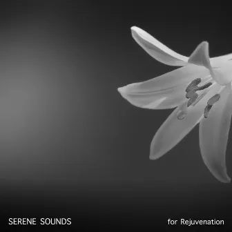 18 Serene Sounds for Rejuvenation by ambiente spazio musica