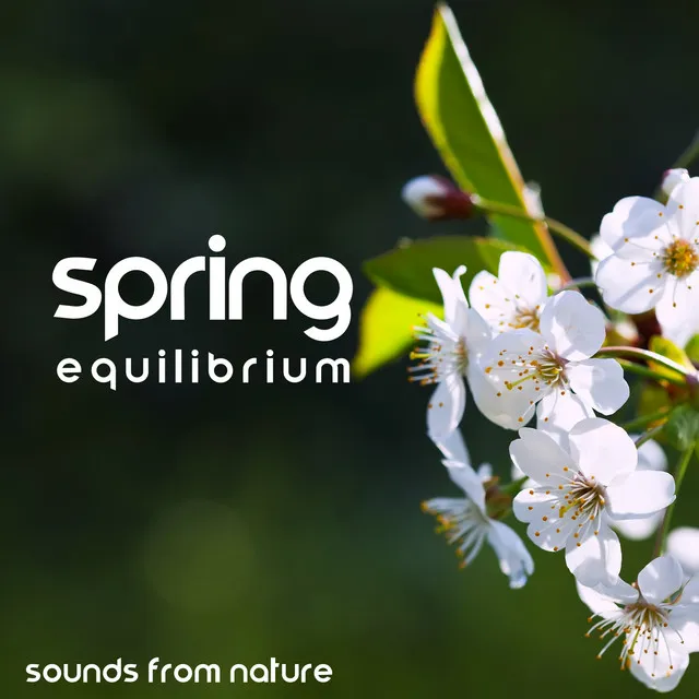 Spring Equilibrium: Sounds From Nature To Enjoy The Sun And Achieve Total Relaxation