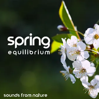 Spring Equilibrium: Sounds From Nature To Enjoy The Sun And Achieve Total Relaxation by Spring Metamorphosis