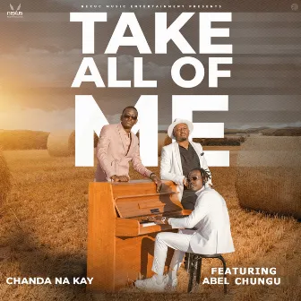 Take All of Me by Chanda na Kay