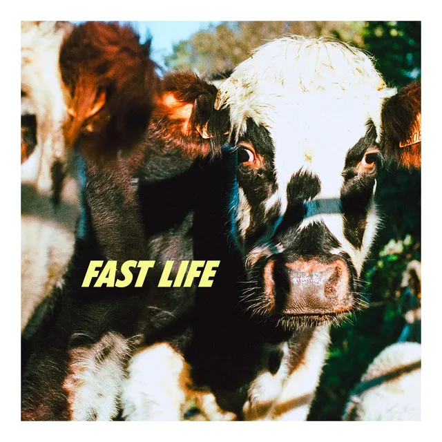 Fast Life