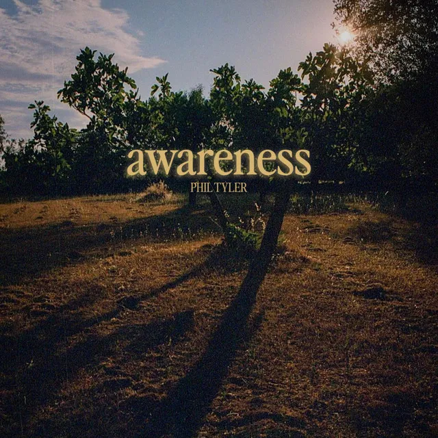 Awareness