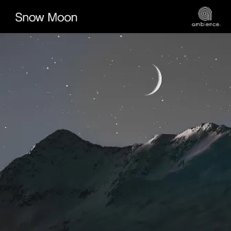 Snow Moon by Molly Jackson