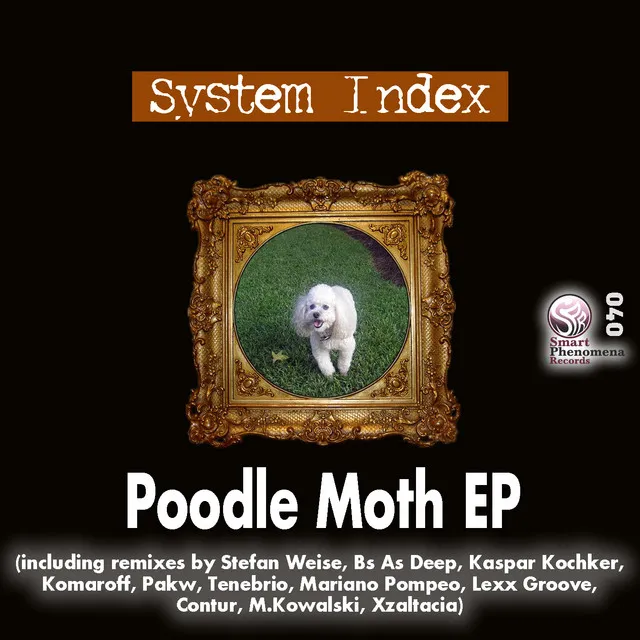 Poodle Moth - Contur 'Poodle 3k' Remix