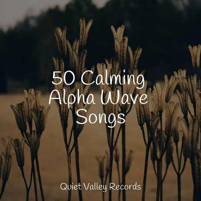 50 Calming Alpha Wave Songs