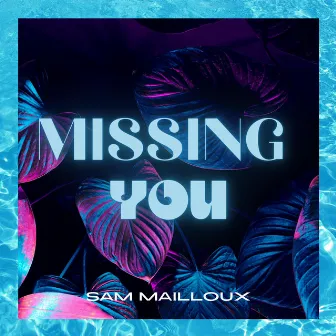 Missing You by Sam Mailloux