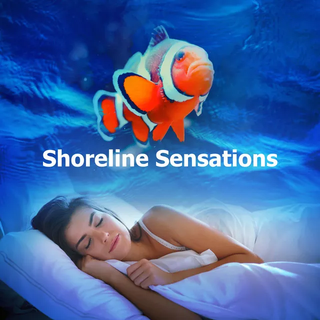 Shoreline Sensations