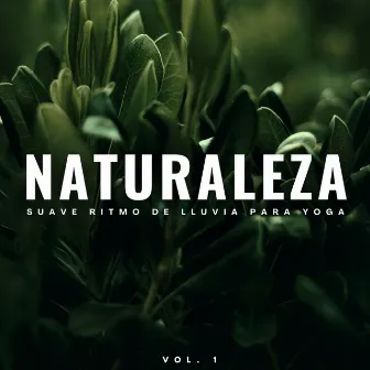 Naturaleza: Suave Ritmo De Lluvia Para Yoga Vol. 1 by El proyecto de música de canto y mantra de yoga