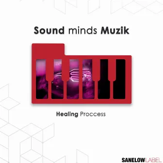 Healing Process by Sound minds Muzik