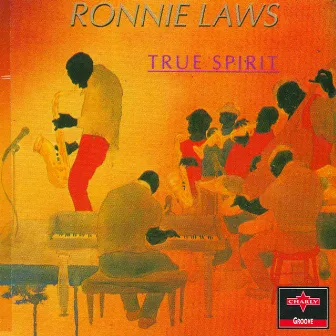 True Spirit by Ronnie Laws