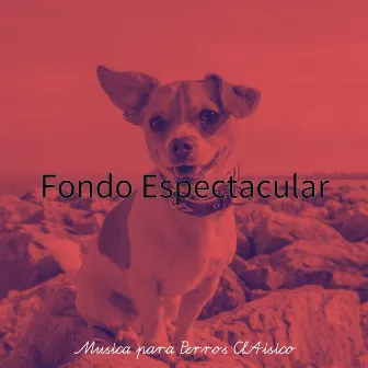 Fondo Espectacular by Musica para Perros ClAisico