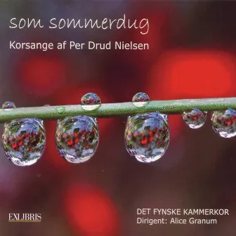 Som Sommerdug by Det Fynske Kammerkor