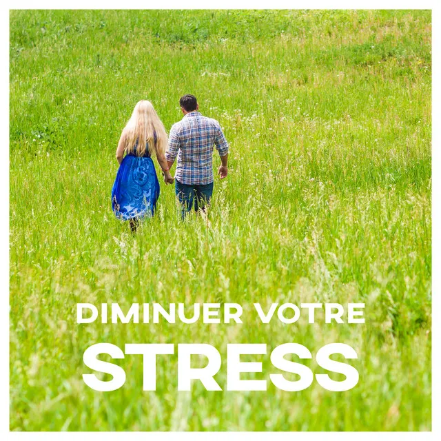 Diminuer votre stress: Harmonie avec la nature