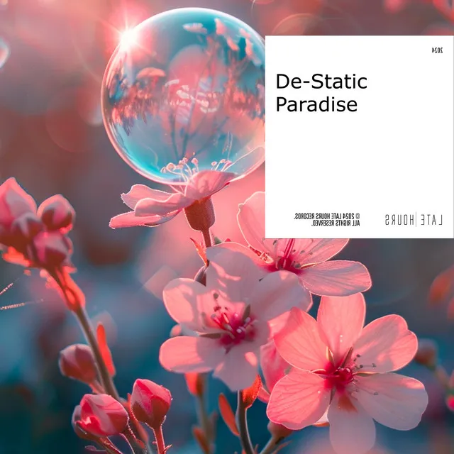 De-Static