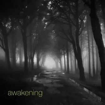 Awakening by Clarence Öfwerman