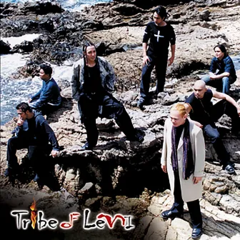 Tribe of Levi by Tribe Of Levi