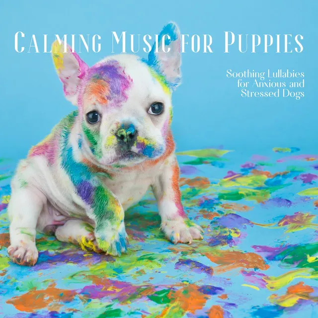 Calming Music for Puppies, Soothing Lullabies for Anxious and Stressed Dogs