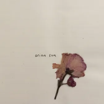 Journal Entry by Orion Sun