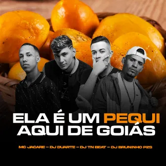 Ela é um Pequi Aqui de Goiás by DJ DUARTE