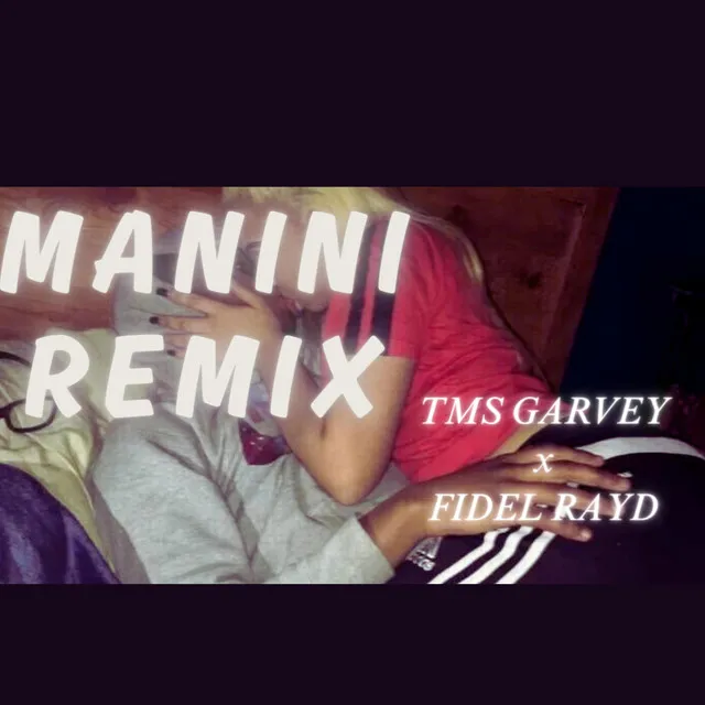 MANINI - REMIX