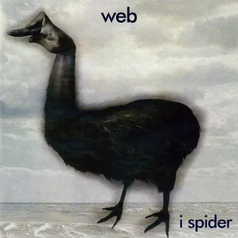 I Spider by Web