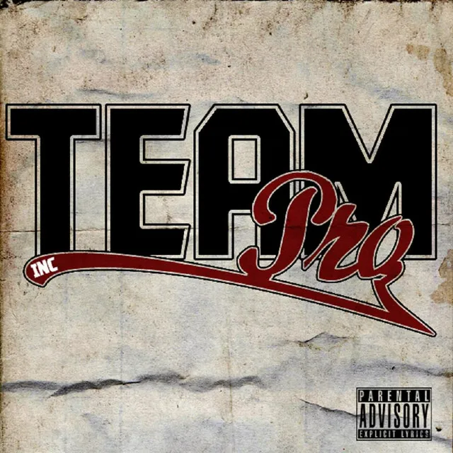 Team Pro Inc.