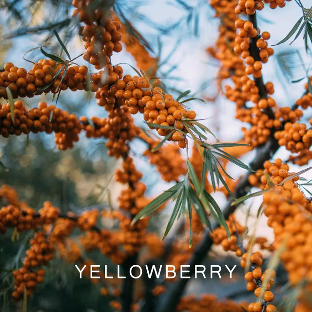 Yellowberry