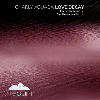 Love Decay by Charly Aguada