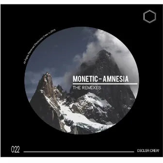 Amnesia Remixes by Monetic