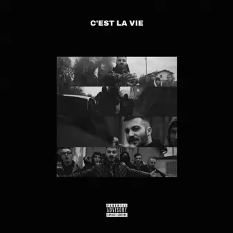 C'est la Vie by Young Steeve