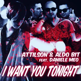 I Want You Tonight (feat. Daniele Meo) by Attilson