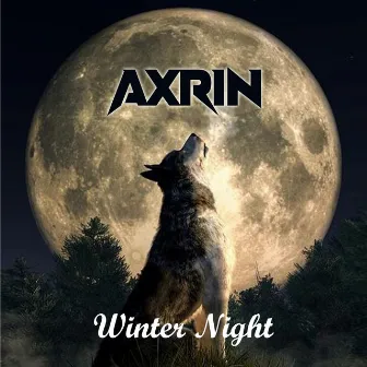 Winter Night by Axrin