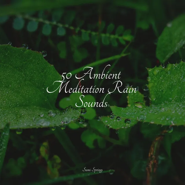 50 Ambient Meditation Rain Sounds