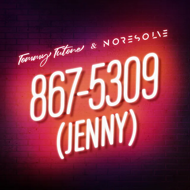 867-5309 (Jenny)