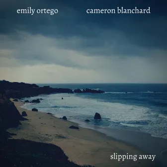 Slipping Away by Emily Ortego