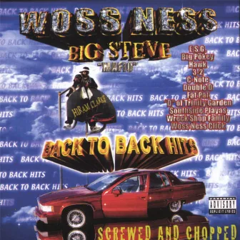 Back To Back Hits : Chopped And Screwed by Big Steve