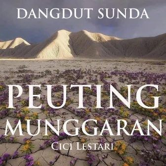 Dangdut Sunda Peuting Munggaran by Cici Lestari