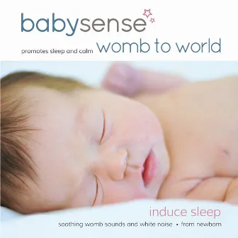 Womb to World - Womb Sounds by Baby Sense