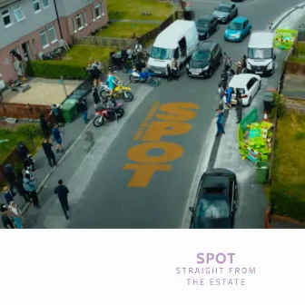 Straight from the estate (Audio Version) by Spot