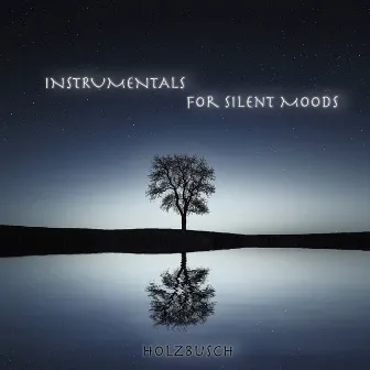 Instrumentals for Silent Moods by William Solberg